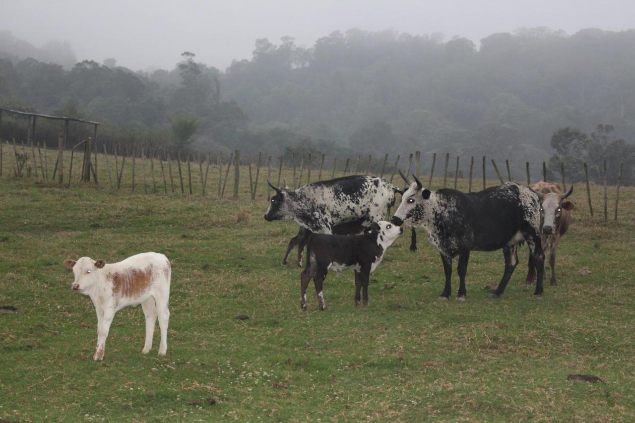 Newstead Farm - Country Cottages Curryʼs Post 외부 사진