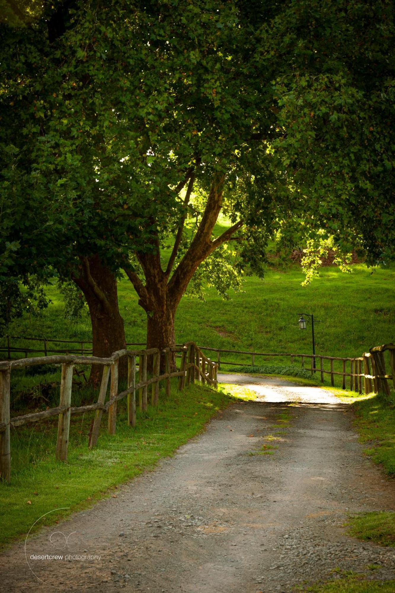 Newstead Farm - Country Cottages Curryʼs Post 외부 사진