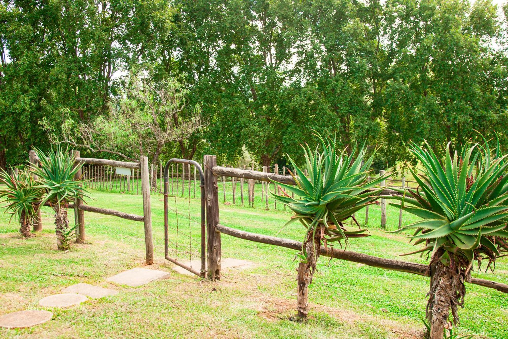 Newstead Farm - Country Cottages Curryʼs Post 외부 사진