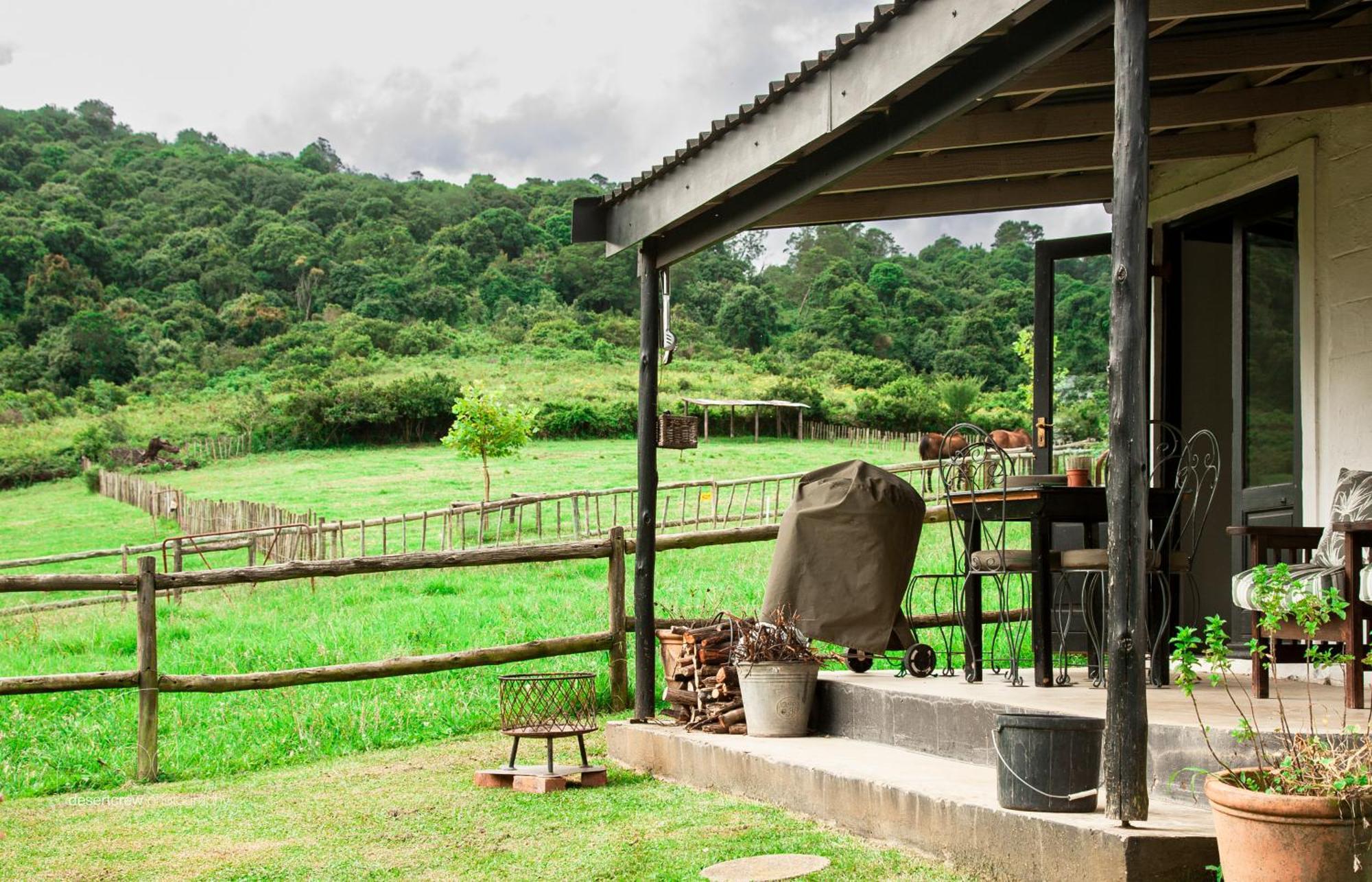 Newstead Farm - Country Cottages Curryʼs Post 외부 사진