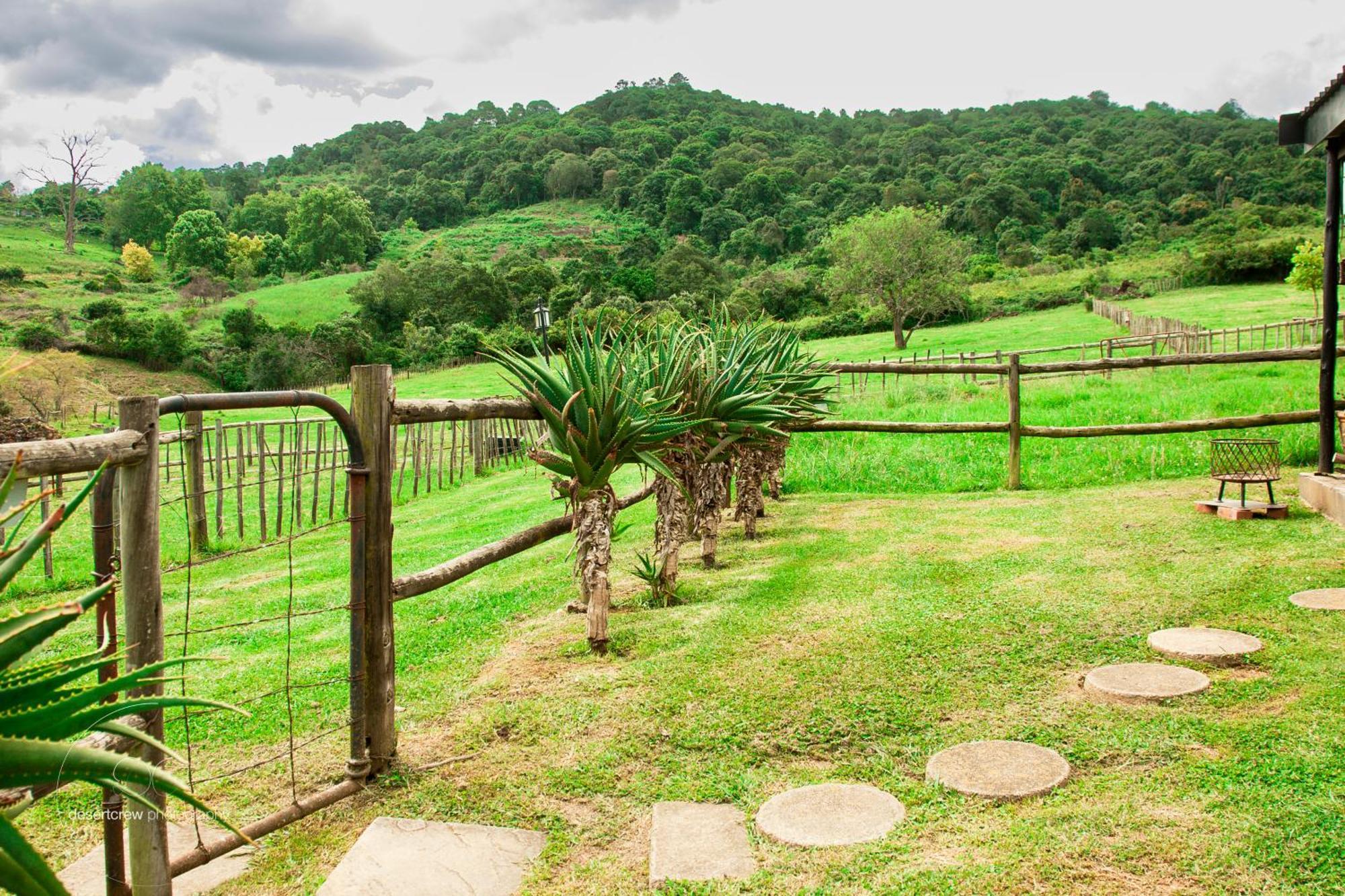 Newstead Farm - Country Cottages Curryʼs Post 외부 사진