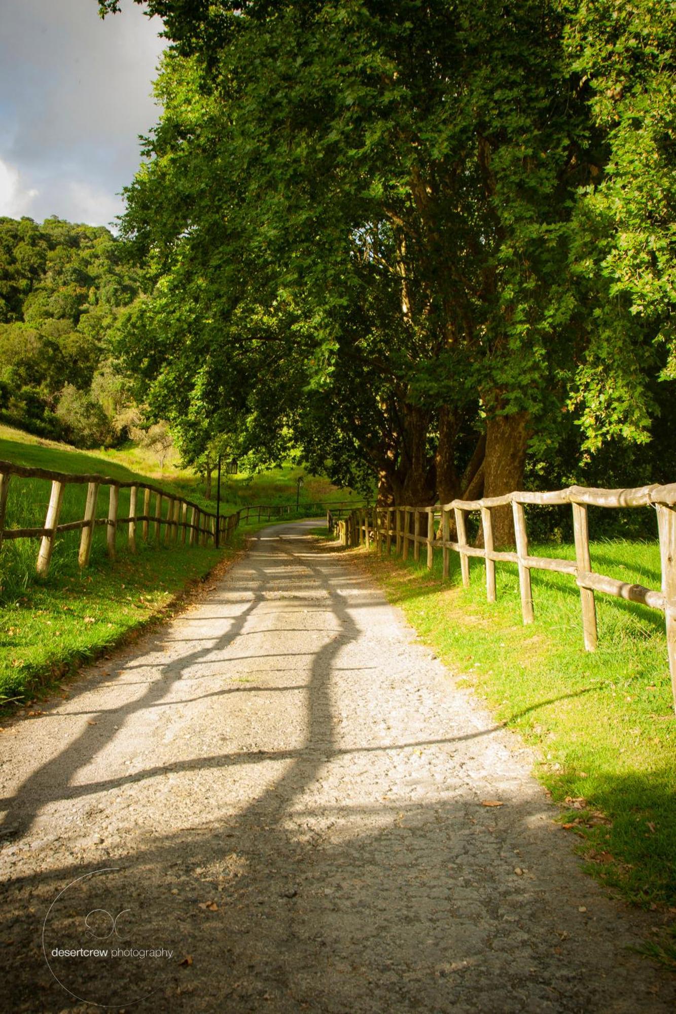 Newstead Farm - Country Cottages Curryʼs Post 외부 사진