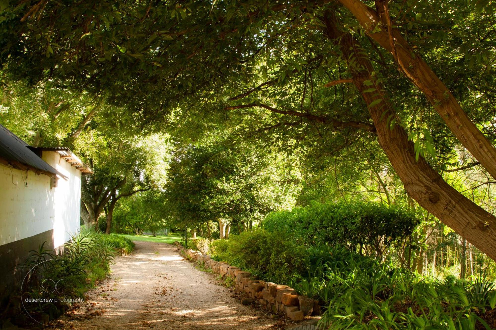 Newstead Farm - Country Cottages Curryʼs Post 외부 사진