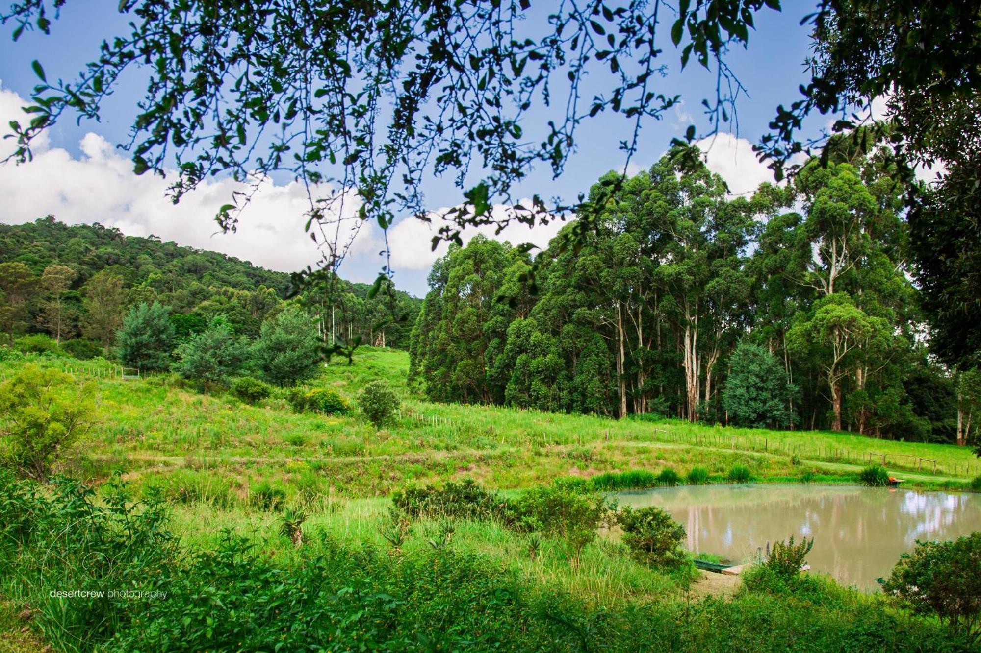Newstead Farm - Country Cottages Curryʼs Post 외부 사진