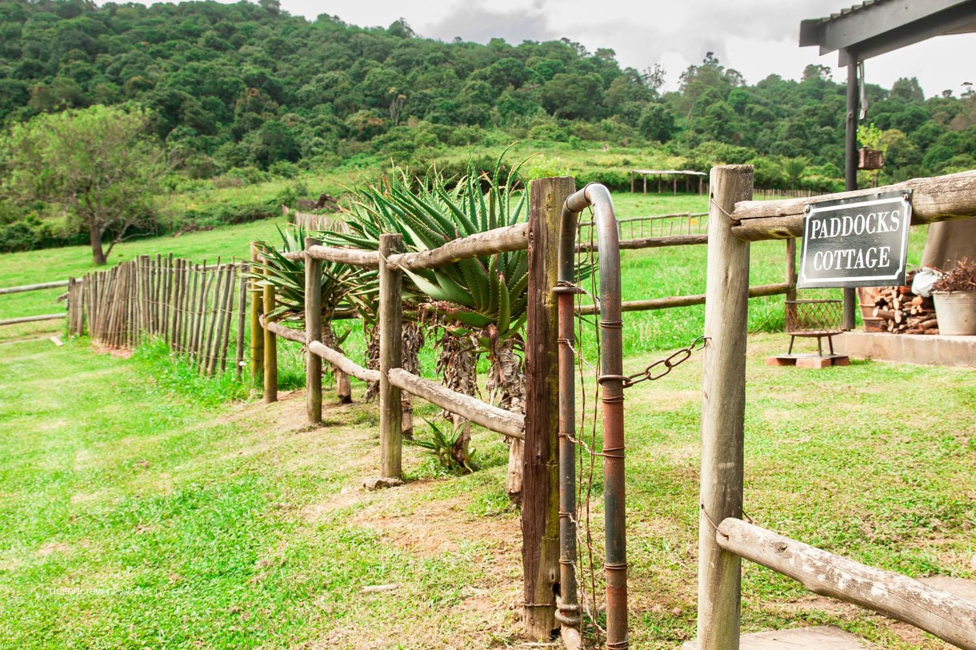 Newstead Farm - Country Cottages Curryʼs Post 외부 사진