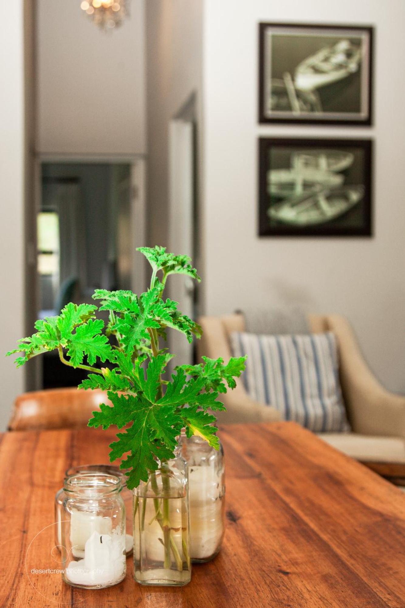 Newstead Farm - Country Cottages Curryʼs Post 외부 사진